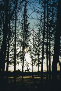 Preview wallpaper riders, silhouettes, forest, sunset, landscape, trees, horses