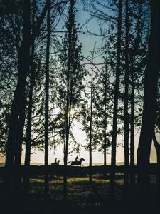 Preview wallpaper riders, silhouettes, forest, sunset, landscape, trees, horses