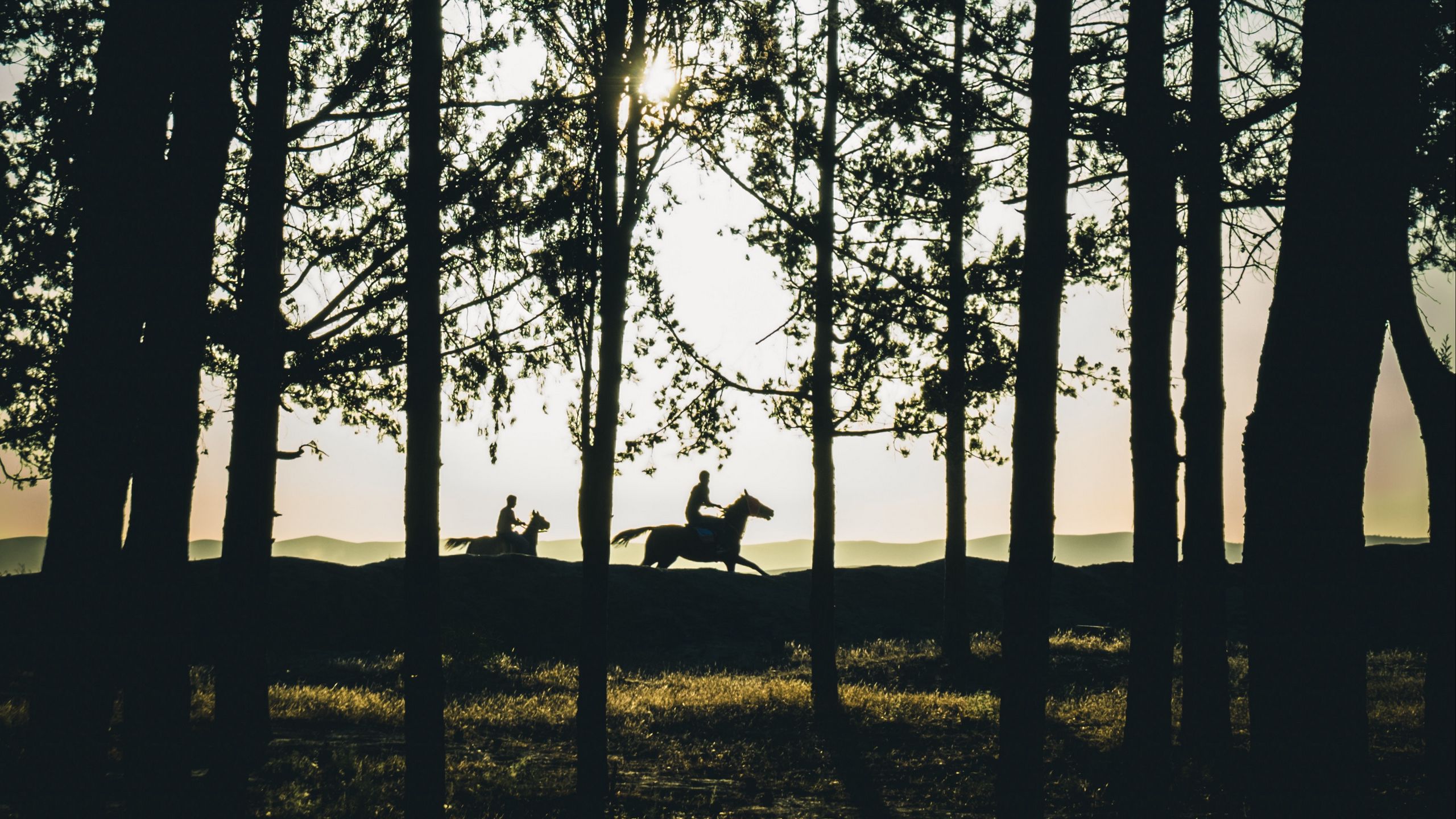 Download wallpaper 2560x1440 riders, silhouettes, forest, sunset