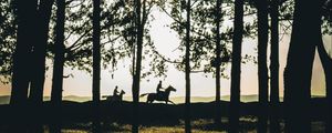 Preview wallpaper riders, silhouettes, forest, sunset, landscape, trees, horses