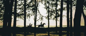 Preview wallpaper riders, silhouettes, forest, sunset, landscape, trees, horses