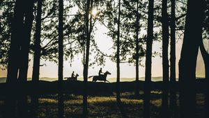 Preview wallpaper riders, silhouettes, forest, sunset, landscape, trees, horses