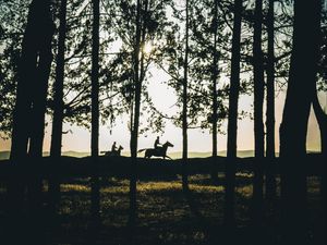 Preview wallpaper riders, silhouettes, forest, sunset, landscape, trees, horses