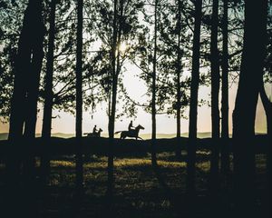 Preview wallpaper riders, silhouettes, forest, sunset, landscape, trees, horses