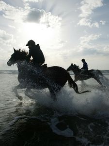 Preview wallpaper riding, horses, splashes, silhouettes, sun