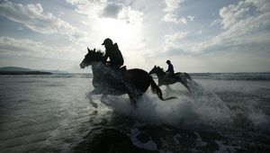 Preview wallpaper riding, horses, splashes, silhouettes, sun