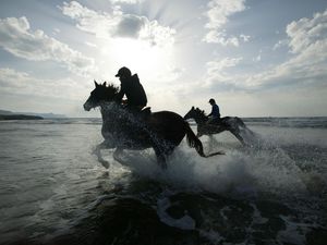 Preview wallpaper riding, horses, splashes, silhouettes, sun