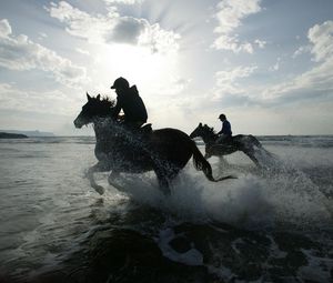 Preview wallpaper riding, horses, splashes, silhouettes, sun
