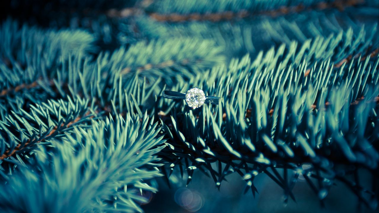 Wallpaper ring, diamond, spruce, needles