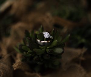 Preview wallpaper ring, diamonds, jewel, love, romance