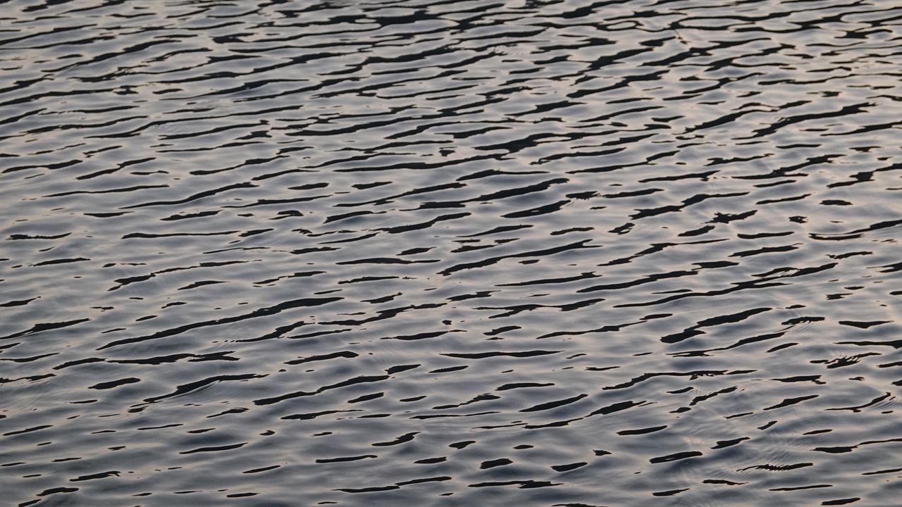 Wallpaper ripples, water, surface, waves hd, picture, image