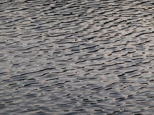 Preview wallpaper ripples, water, surface, waves