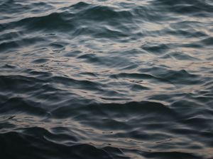 Preview wallpaper ripples, waves, water, body of water