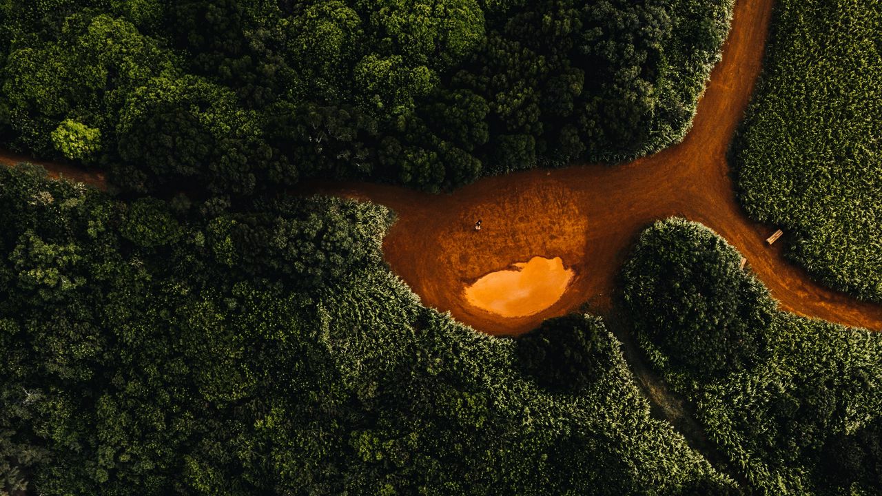 Wallpaper river, aerial view, coast, trees