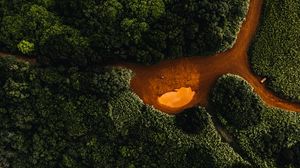 Preview wallpaper river, aerial view, coast, trees