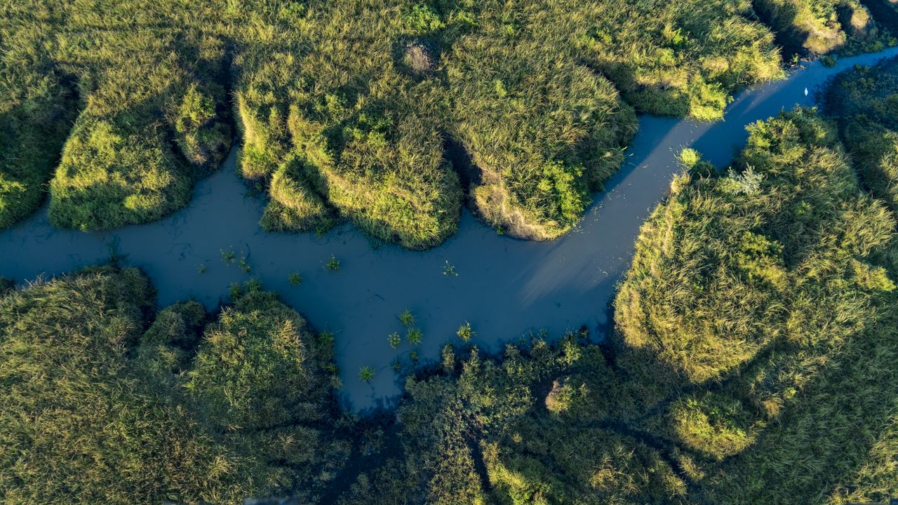 Wallpaper river, aerial view, grass, water