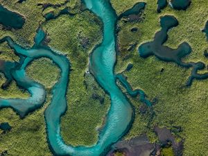 Preview wallpaper river, aerial view, winding, overview, height