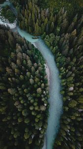 Preview wallpaper river, aerial view, winding, trees, forest