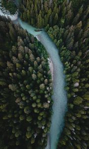 Preview wallpaper river, aerial view, winding, trees, forest