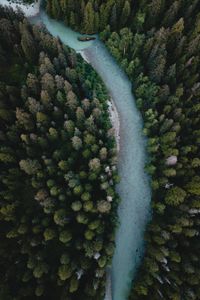 Preview wallpaper river, aerial view, winding, trees, forest