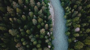 Preview wallpaper river, aerial view, winding, trees, forest
