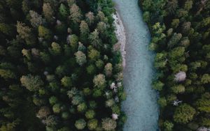 Preview wallpaper river, aerial view, winding, trees, forest