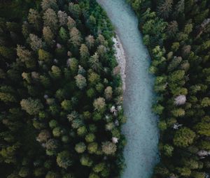 Preview wallpaper river, aerial view, winding, trees, forest