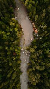 Preview wallpaper river, aerial view, winding, forest, trees