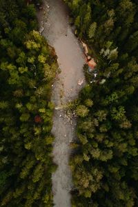 Preview wallpaper river, aerial view, winding, forest, trees