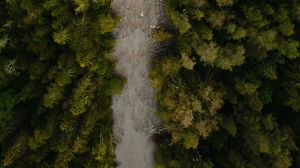 Preview wallpaper river, aerial view, winding, forest, trees