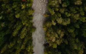 Preview wallpaper river, aerial view, winding, forest, trees