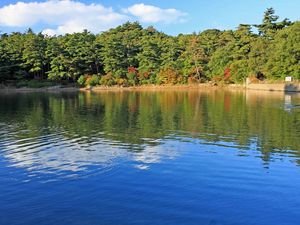 Preview wallpaper river, autumn, beach, trees