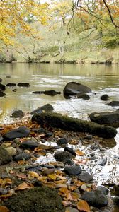 Preview wallpaper river, autumn, coast, leaves, stones, current