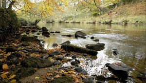 Preview wallpaper river, autumn, coast, leaves, stones, current