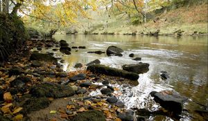 Preview wallpaper river, autumn, coast, leaves, stones, current