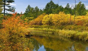 Preview wallpaper river, autumn, leaves, trees