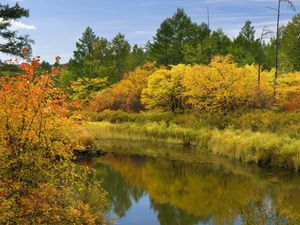 Preview wallpaper river, autumn, leaves, trees