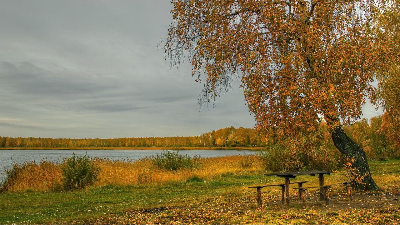 Wallpaper river, autumn, trees, tables, benches