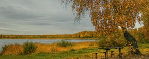 Preview wallpaper river, autumn, trees, tables, benches