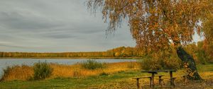 Preview wallpaper river, autumn, trees, tables, benches