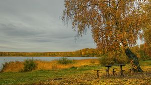 Preview wallpaper river, autumn, trees, tables, benches