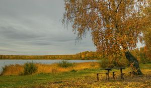 Preview wallpaper river, autumn, trees, tables, benches