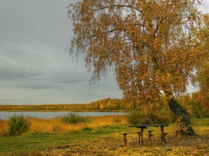 Preview wallpaper river, autumn, trees, tables, benches