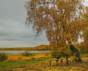 Preview wallpaper river, autumn, trees, tables, benches
