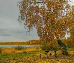 Preview wallpaper river, autumn, trees, tables, benches