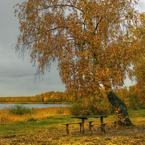 Preview wallpaper river, autumn, trees, tables, benches