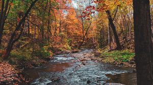 Preview wallpaper river, autumn, trees, leaves