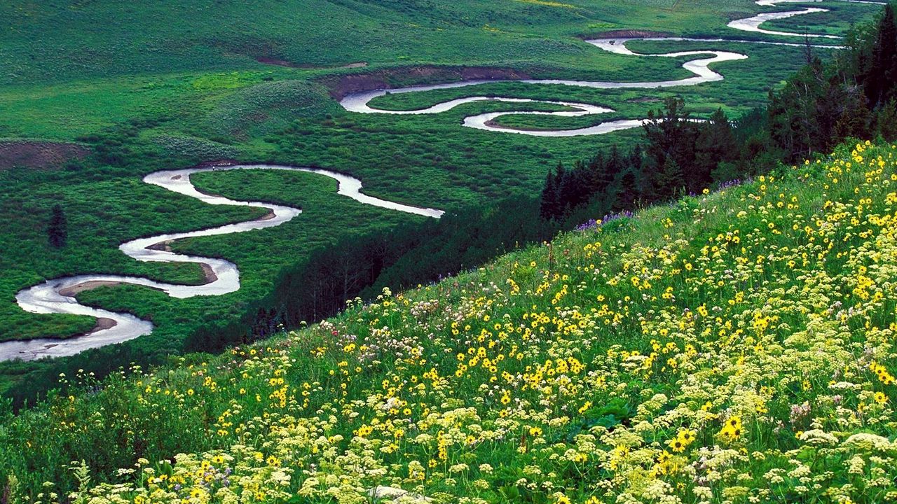 Wallpaper river, bends, mountains, glade, flowers