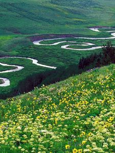 Preview wallpaper river, bends, mountains, glade, flowers