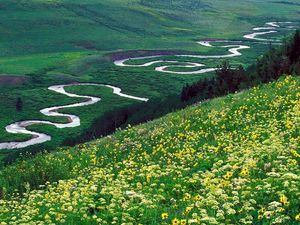 Preview wallpaper river, bends, mountains, glade, flowers